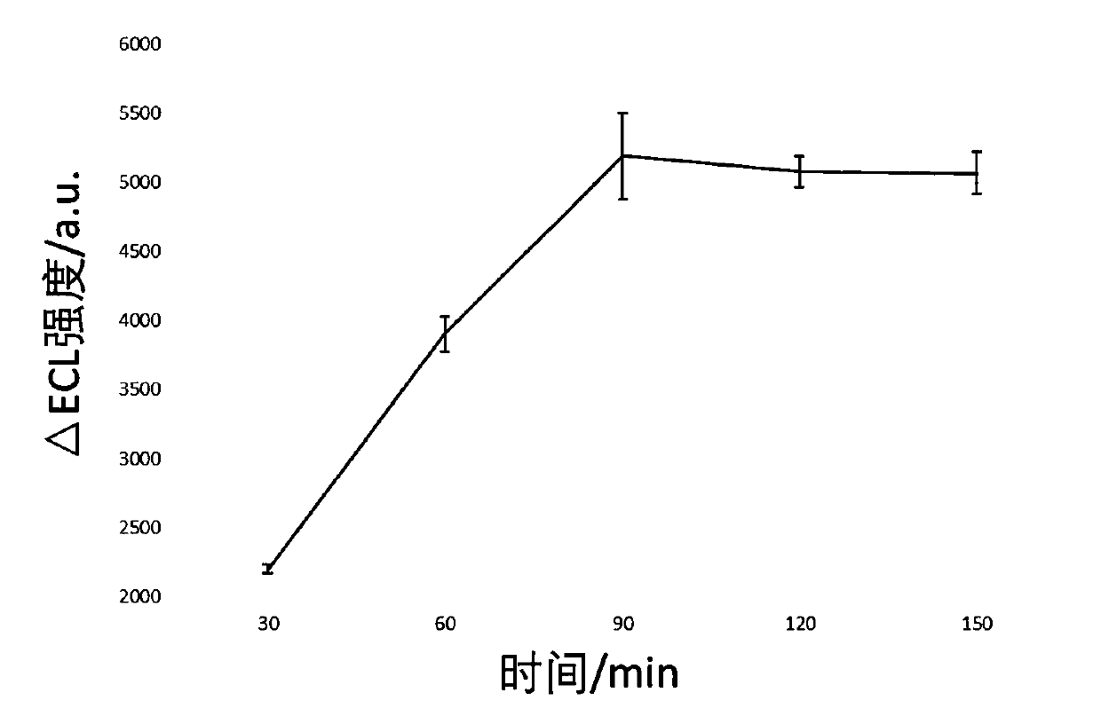 Electrochemical luminescence sensor system for determining adenosine triphosphate and preparation method and application thereof