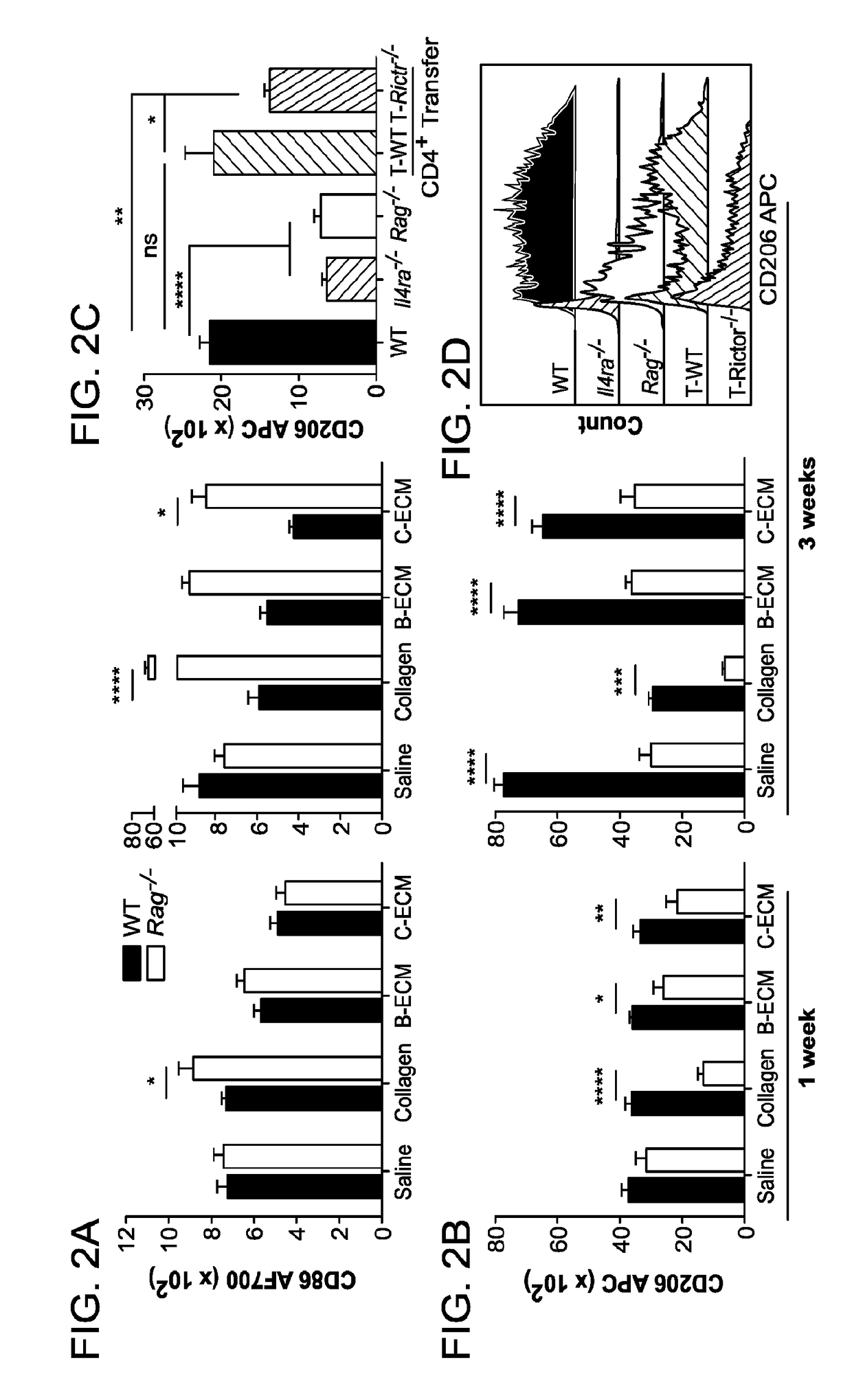 Compositions and methods for modulating wound healing and regeneration