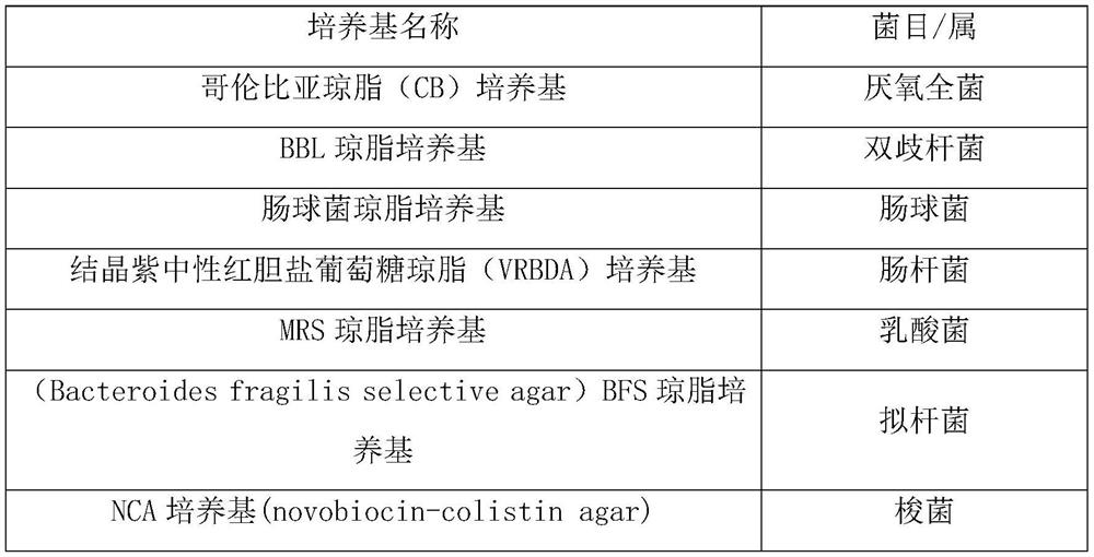 Freeze-drying protective agent, fecal bacteria freeze-dried product and preparation method thereof