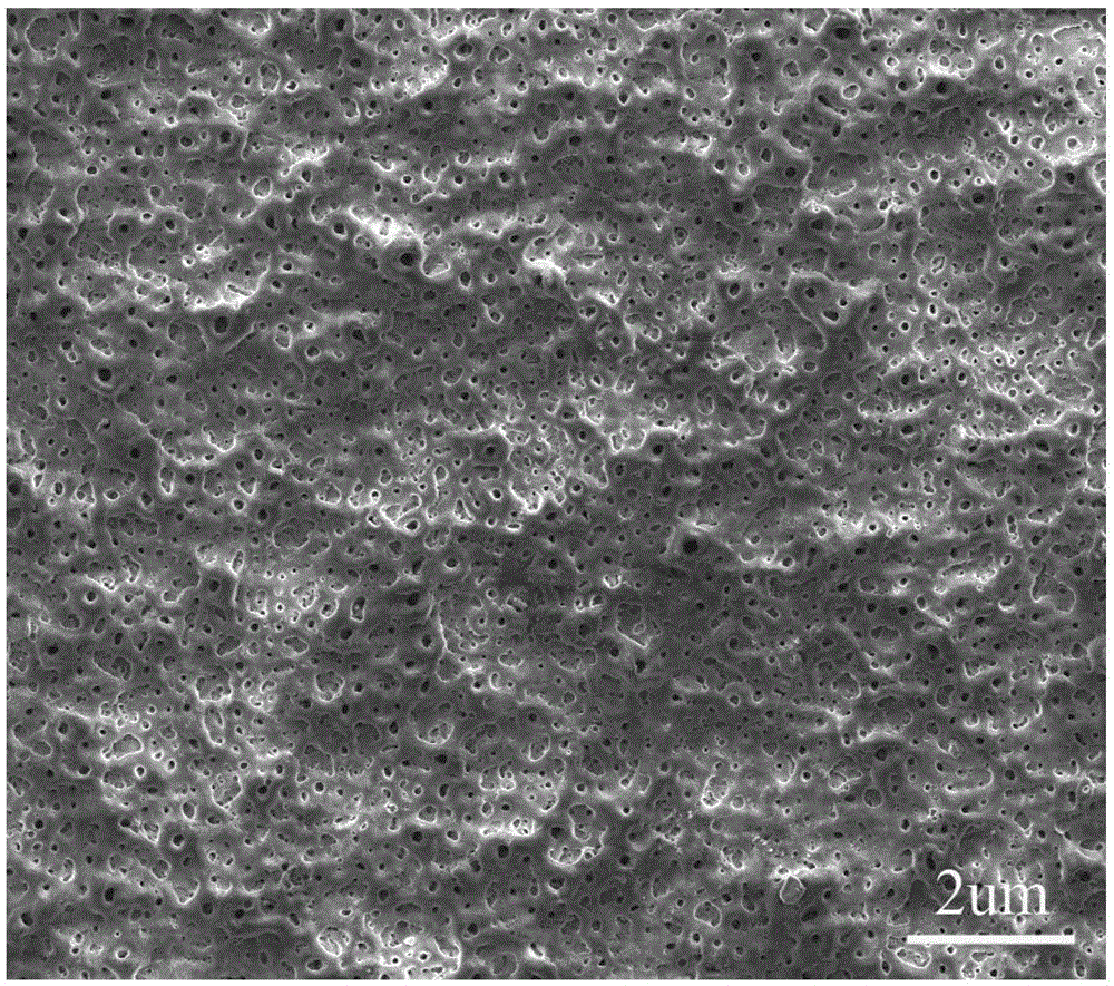 A kind of magnesium alloy micro-arc oxidation solution formula and its application method