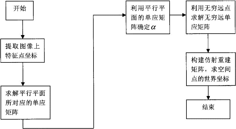 Affine reconstructing method based on parallel planes and infinite points