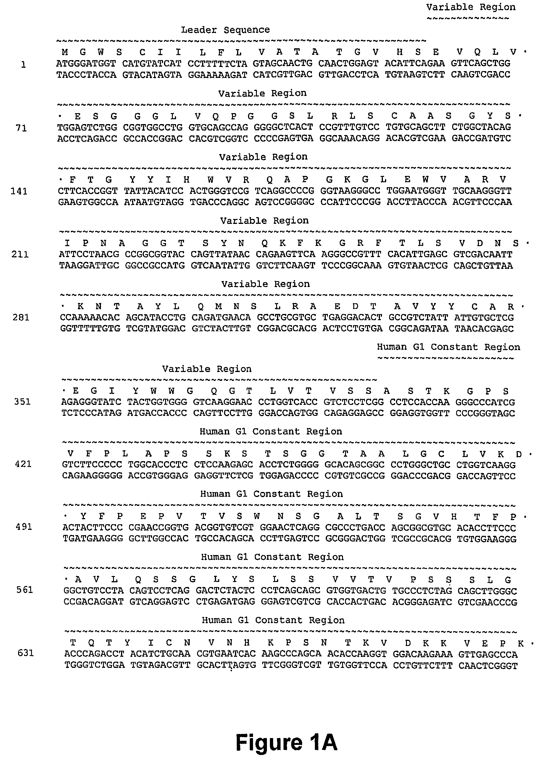 Humanized anti-CD40 antibodies and their methods of use