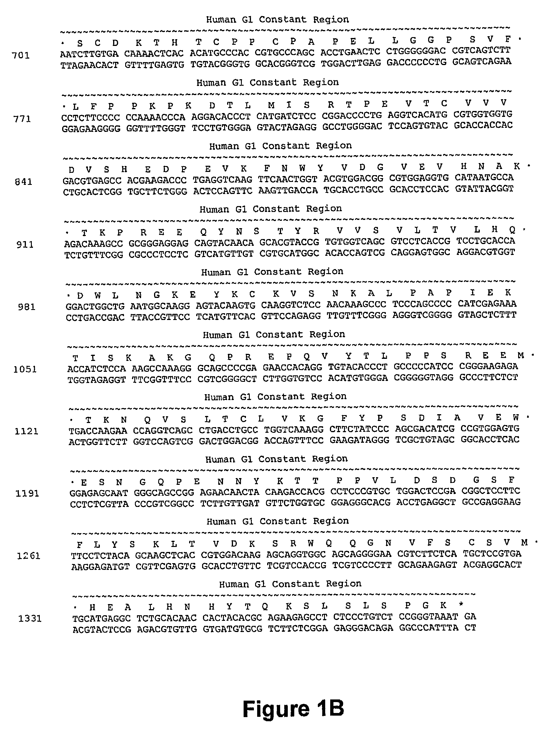 Humanized anti-CD40 antibodies and their methods of use