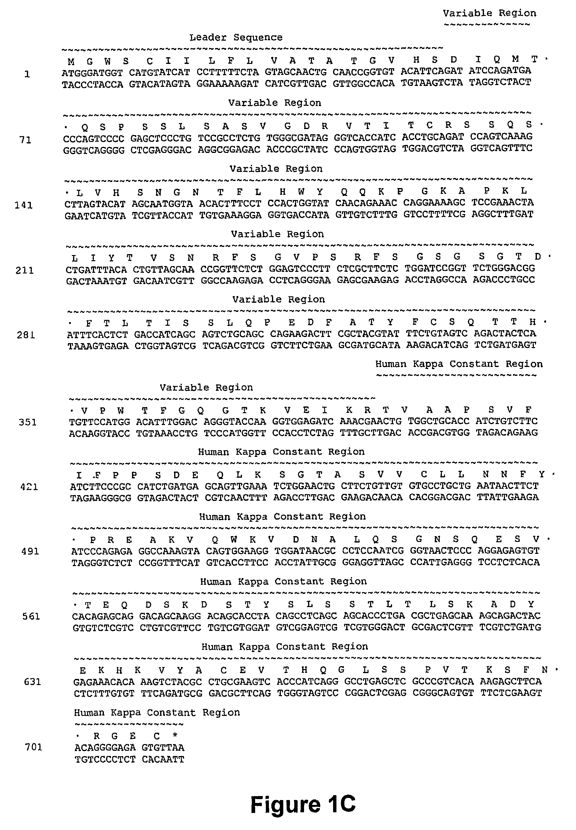 Humanized anti-CD40 antibodies and their methods of use