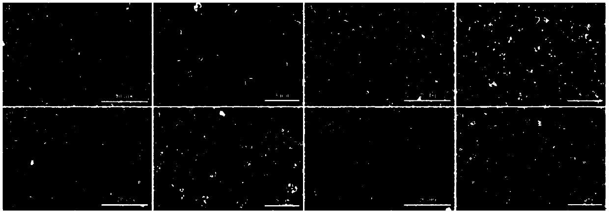 Preparation method of WO3/Ag/AgCl photocatalytic thin film material