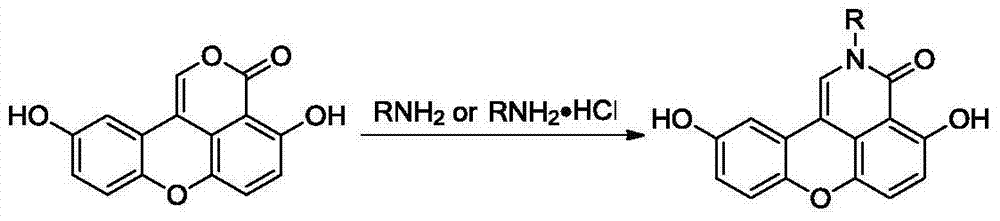 Sparganiaceae lactone B derivative as well as preparation method and use thereof