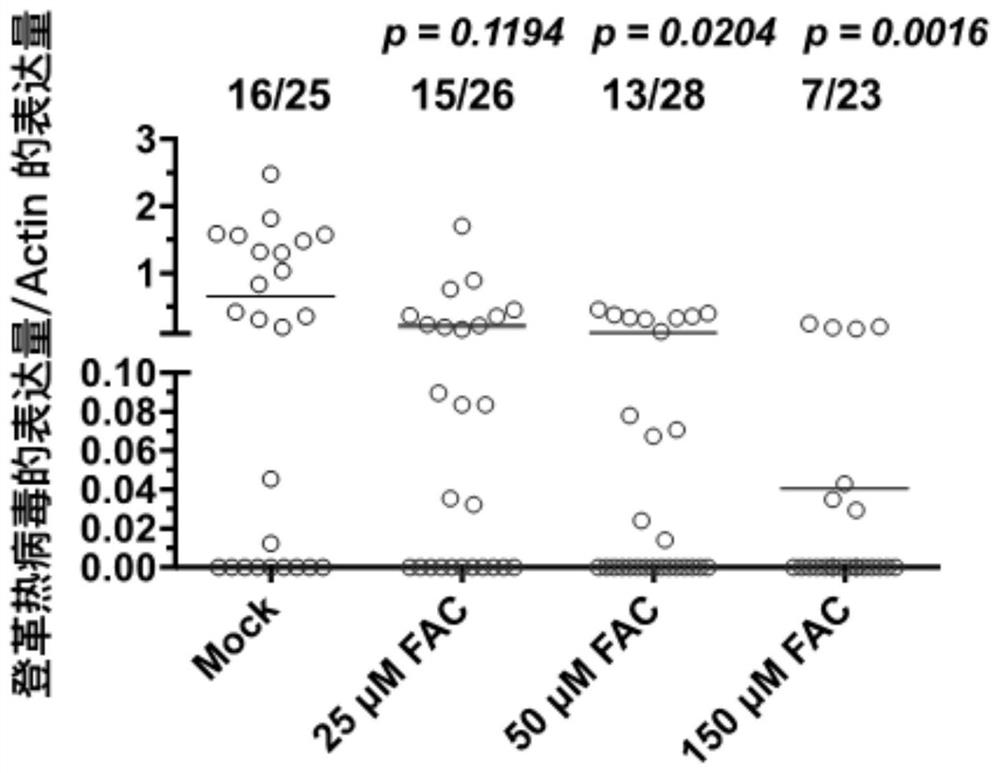 Application of iron-containing substance to preparation of product for inhibiting dengue virus propagation