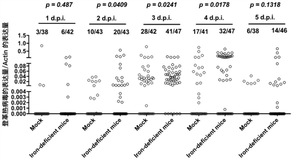 Application of iron-containing substance to preparation of product for inhibiting dengue virus propagation