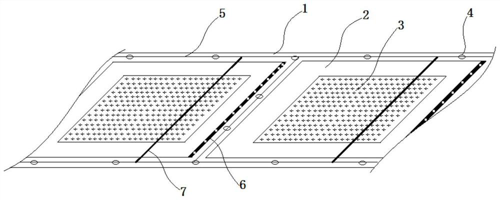 Method and device for breeding rana nigromaculata in rice field in segmented purse seine manner