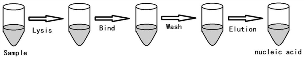 Kit for nucleic acid extraction