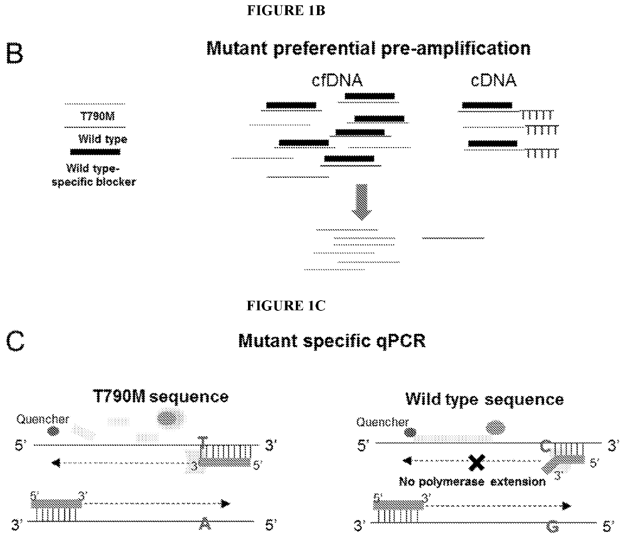 Methods and compositions to detect mutations in plasma using exosomal RNA and cell free DNA from non-small cell lung cancer patients