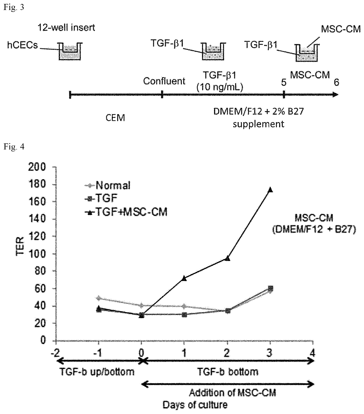 Stratified squamous epithelial cell normal differentiation and maturation promoting agent, epithelial disease therapeutic agent, and stratified squamous epithelial cell normal differentiation and maturation promoting method