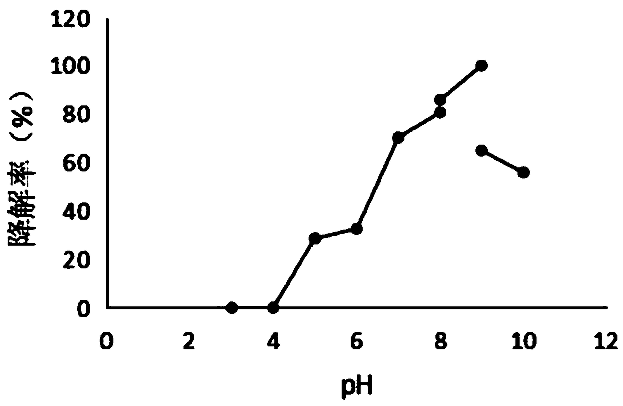 Fumonisin degrading enzyme FumDXA as well as gene and application thereof