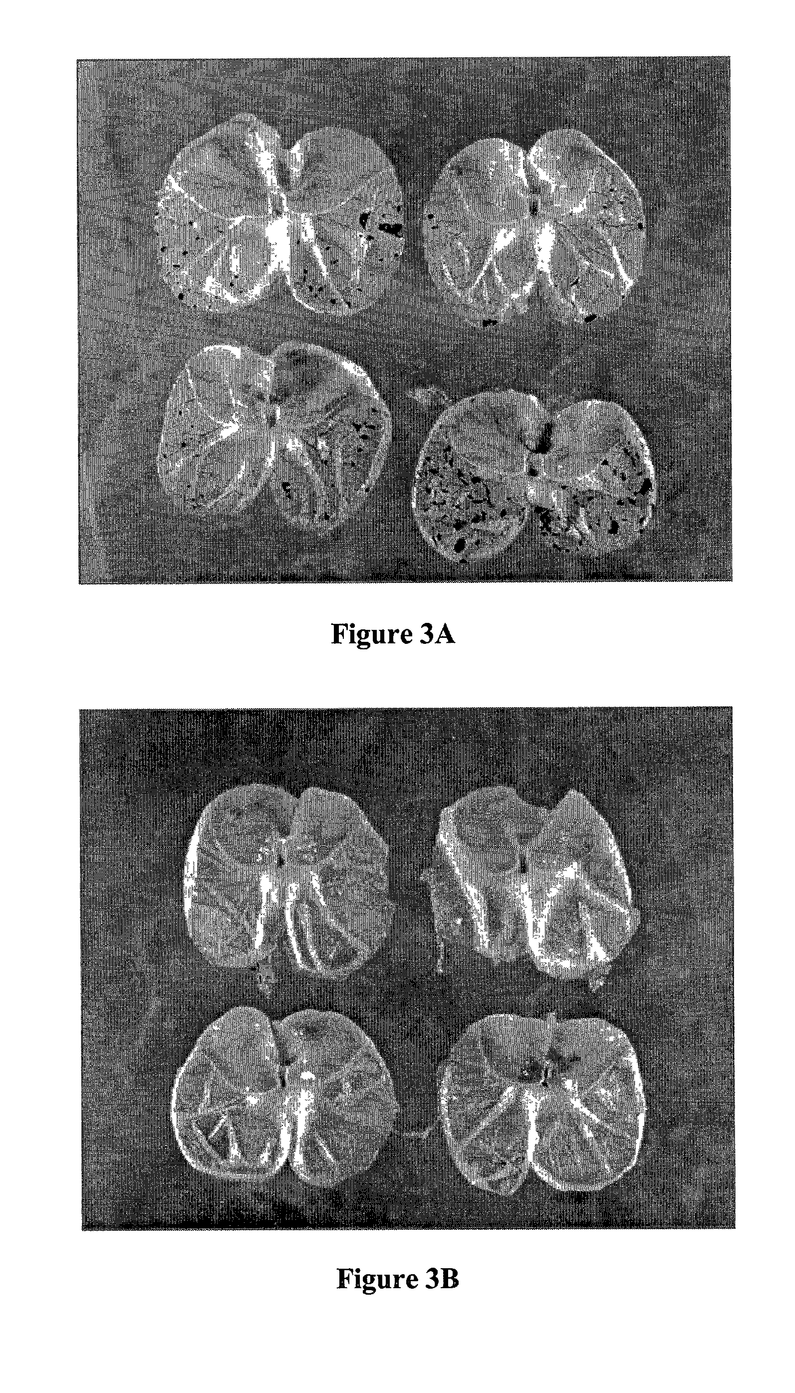 Method and composition for repairing and promoting regeneration of mucosal tissue in the gastrointestinal tract