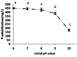 Saline-alkaline tolerance phosphorus solublizing bacteria strain and application thereof