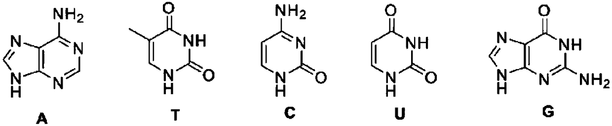 Compound containing azobenzene base element and preparation method and application of compound