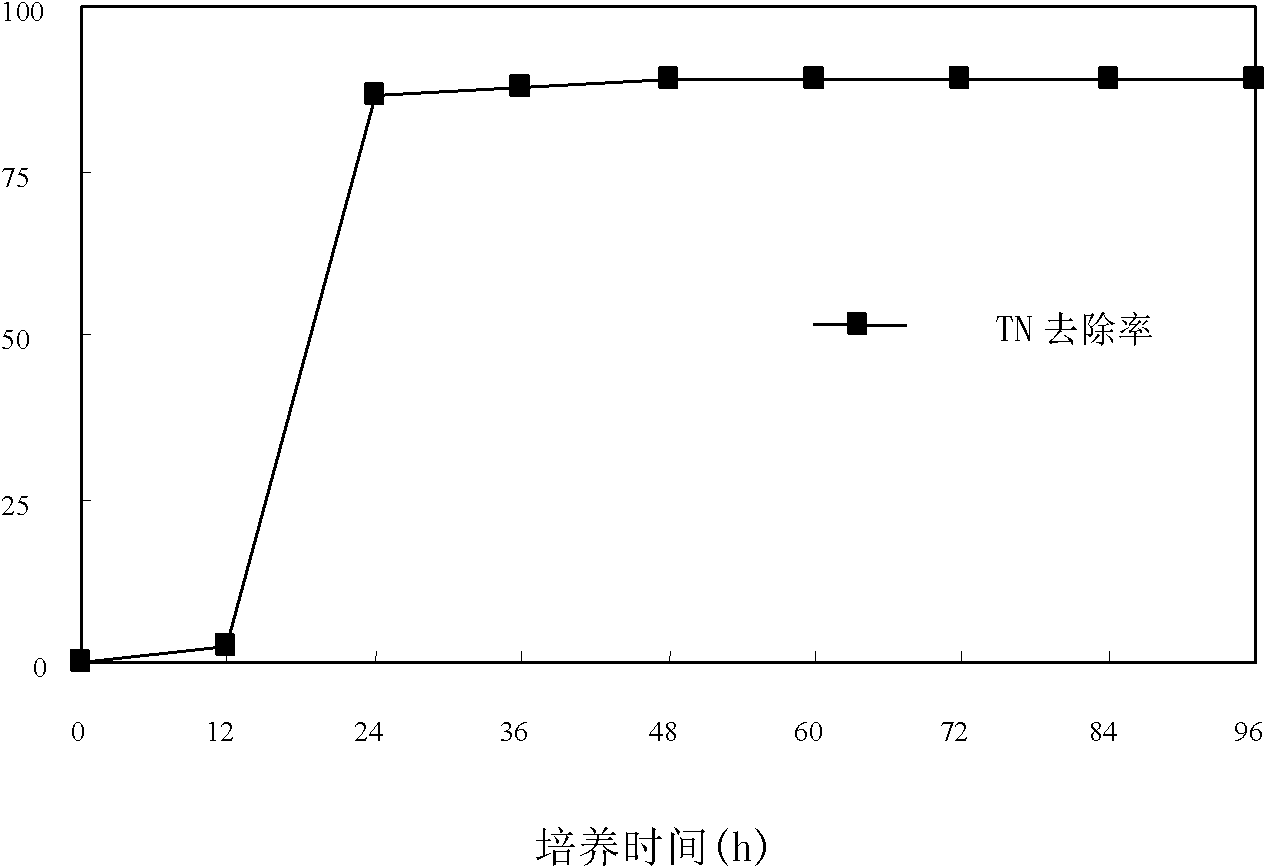 Facultatively anaerobic denitrifying bacteria and application thereof in biological denitrification of water body