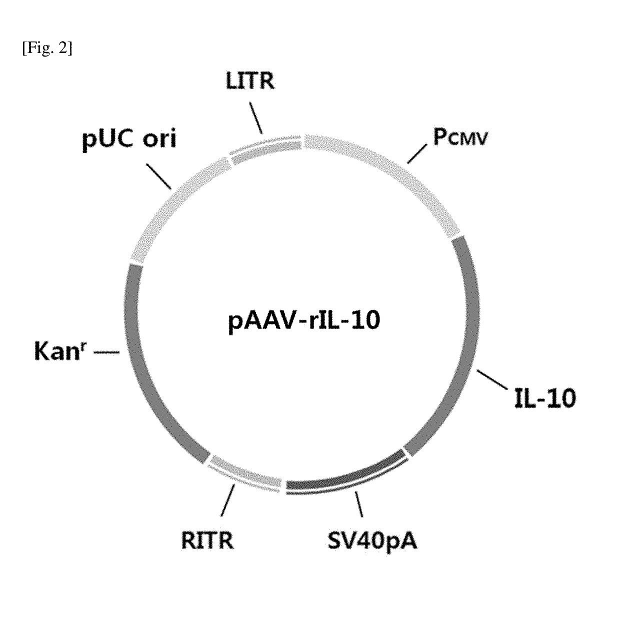 Composition for treating pain