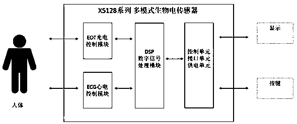 Non-invasive blood pressure detection device based on the combination of photoelectric green light pulse and electrocardiogram