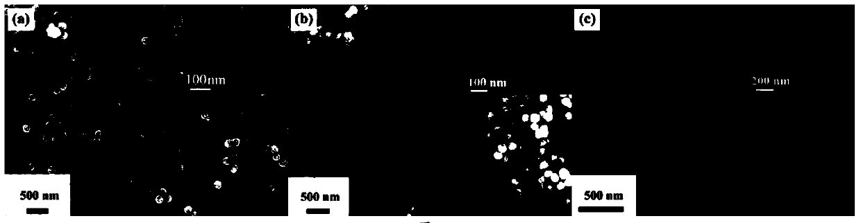 Synthetic method of sliver/ferroferric oxide/silicon dioxide/titanium dioxide four-layer nuclear shell structure and application thereof