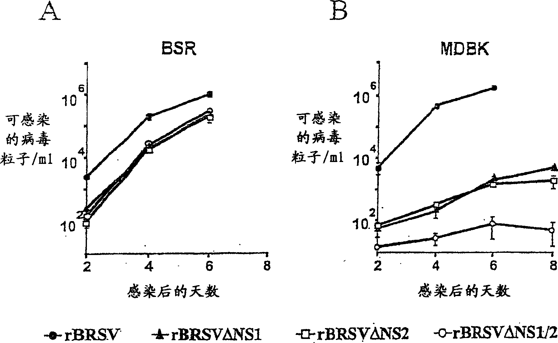 Pneumovirus NS proteins antagonising interferon (IFN) response