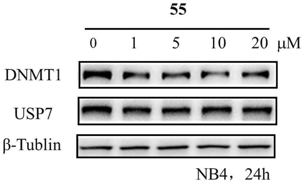 Benzothiazole compounds and medical application