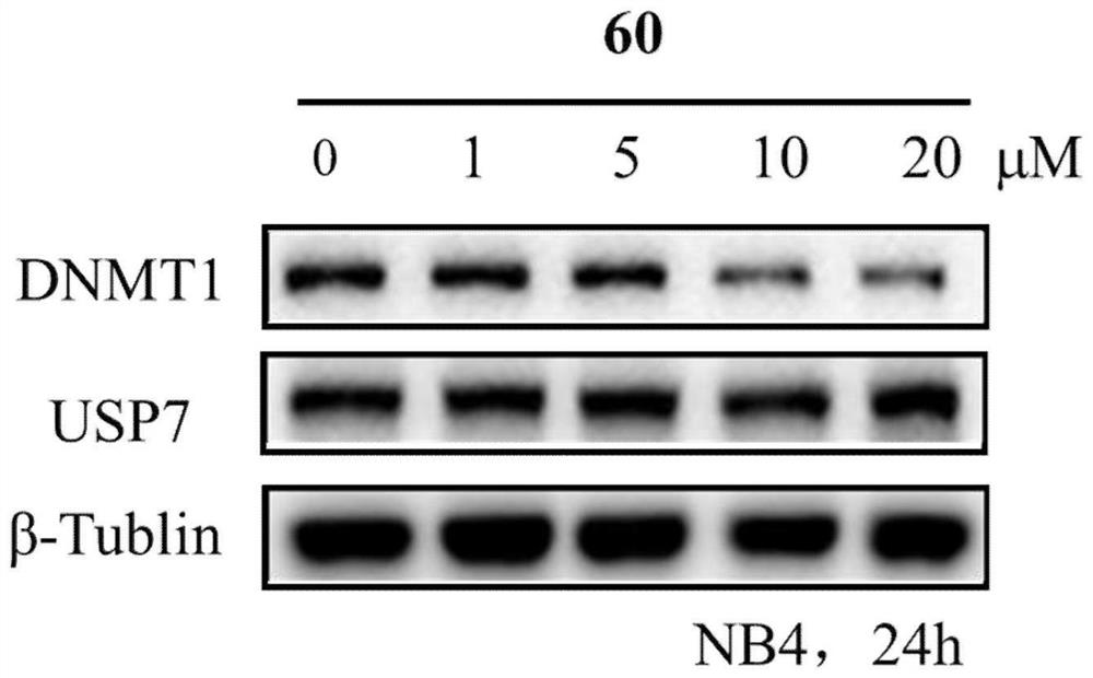 Benzothiazole compounds and medical application