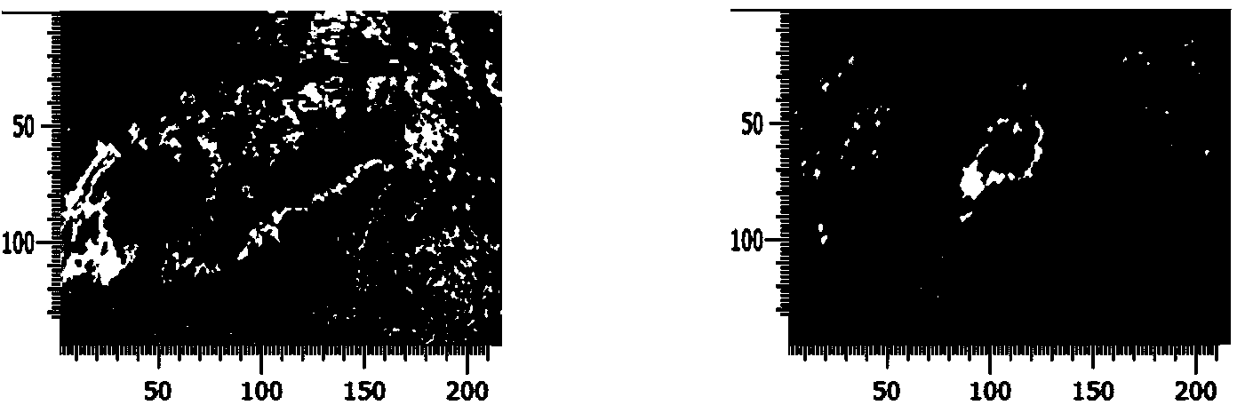 Storm body position and form prediction method based on Doppler radar reflectivity image