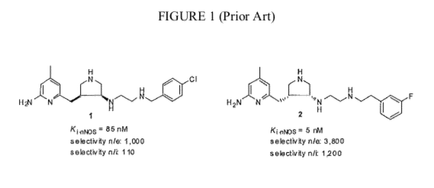 Intramolecular Hydrogen-Bonded Nitric Oxide Synthase Inhibitors