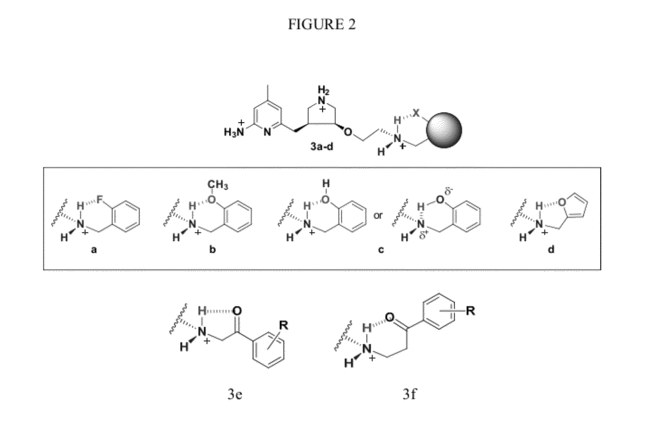 Intramolecular Hydrogen-Bonded Nitric Oxide Synthase Inhibitors