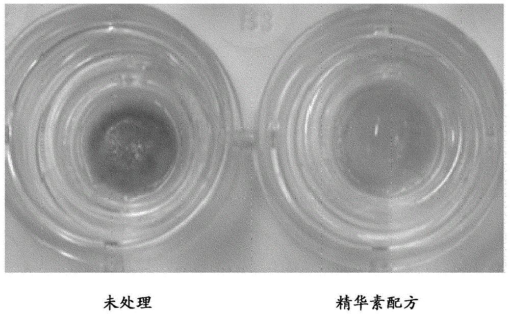 Dickkopf-1 expression modulating compositions and uses thereof