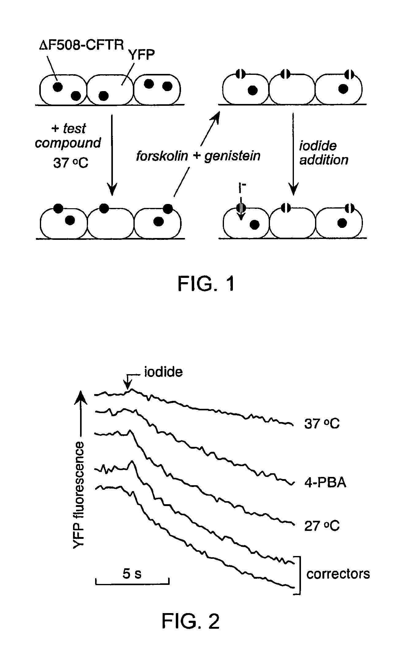 Compounds having activity in correcting mutant-CFTR processing and uses thereof