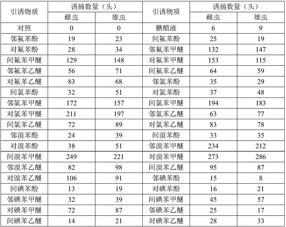 Protaetia brevitarsis attractant and preparation method thereof