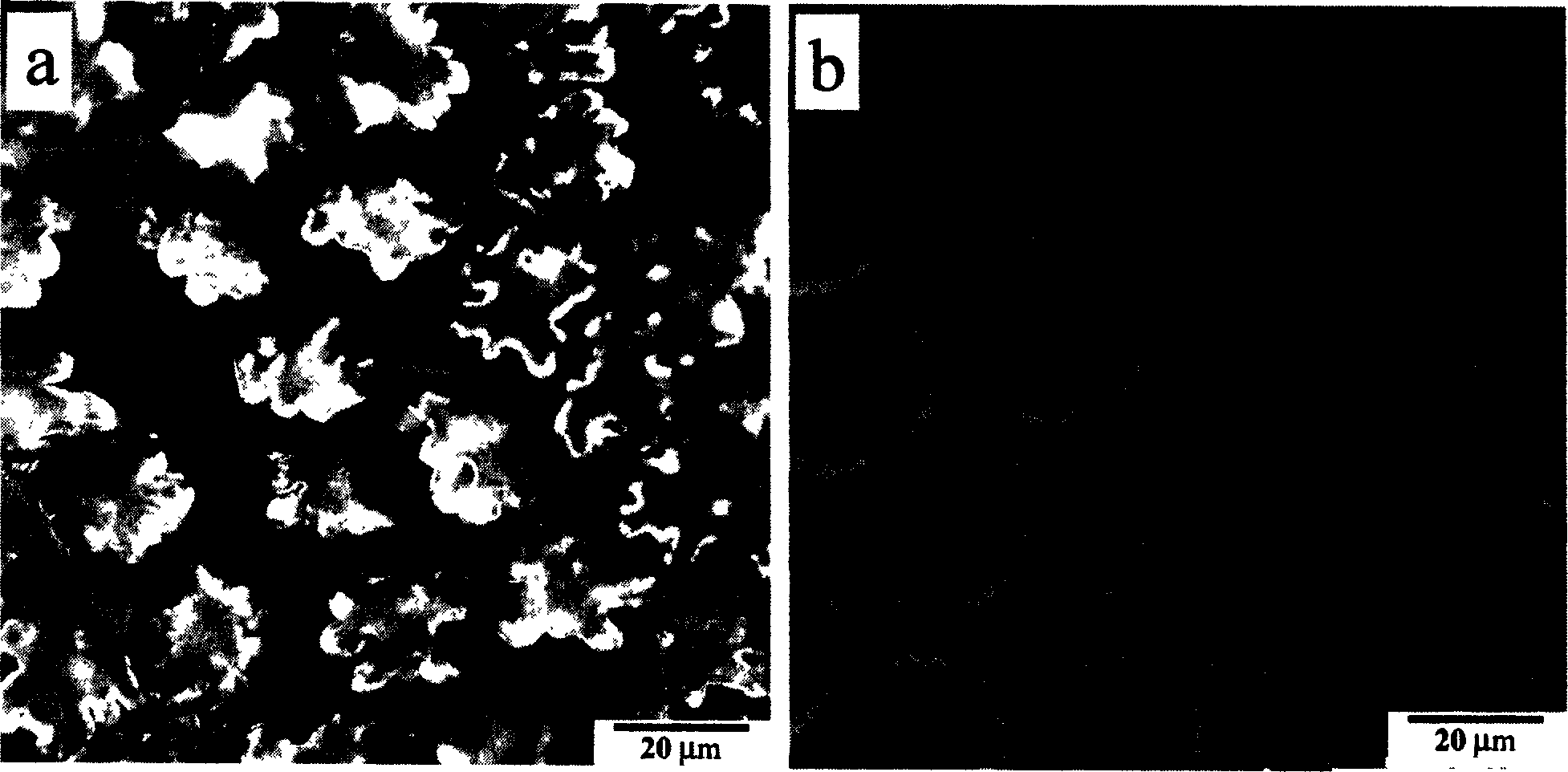 Preparation method for regenerated cellulose fiber