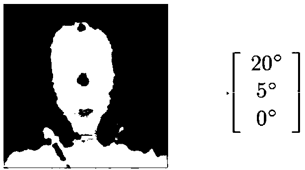 A Head Pose Estimation Method Based on Stacked Autoencoder