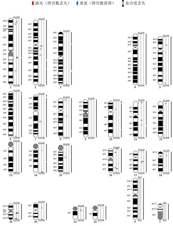 Method for calculating chromosome structure variation and single-parent diploid information