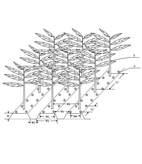 Method for gradually replacing tobacco nitrogen fertilizers with multicropping vetches