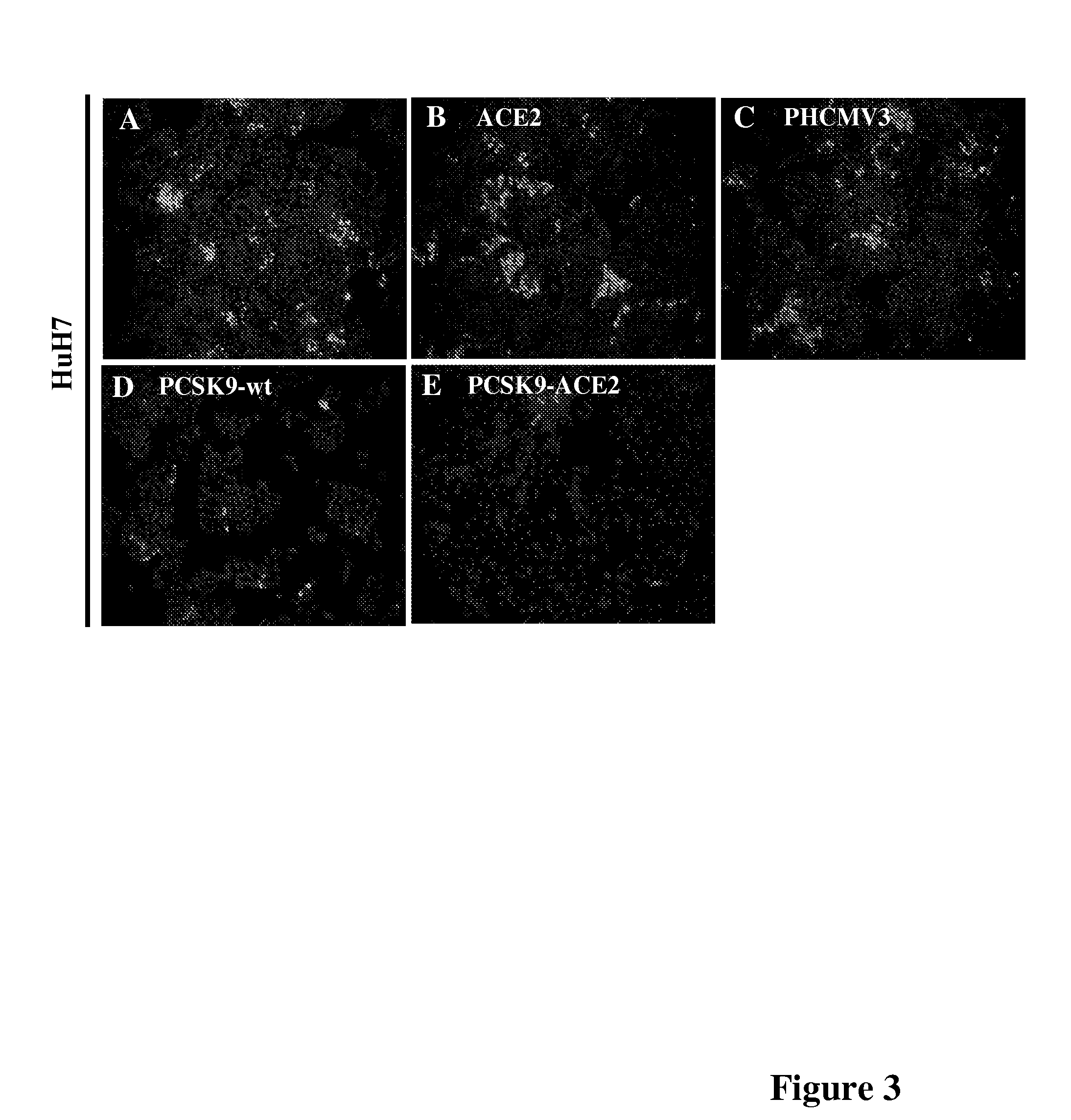 Methods of reducing a viral infection and kits therefore