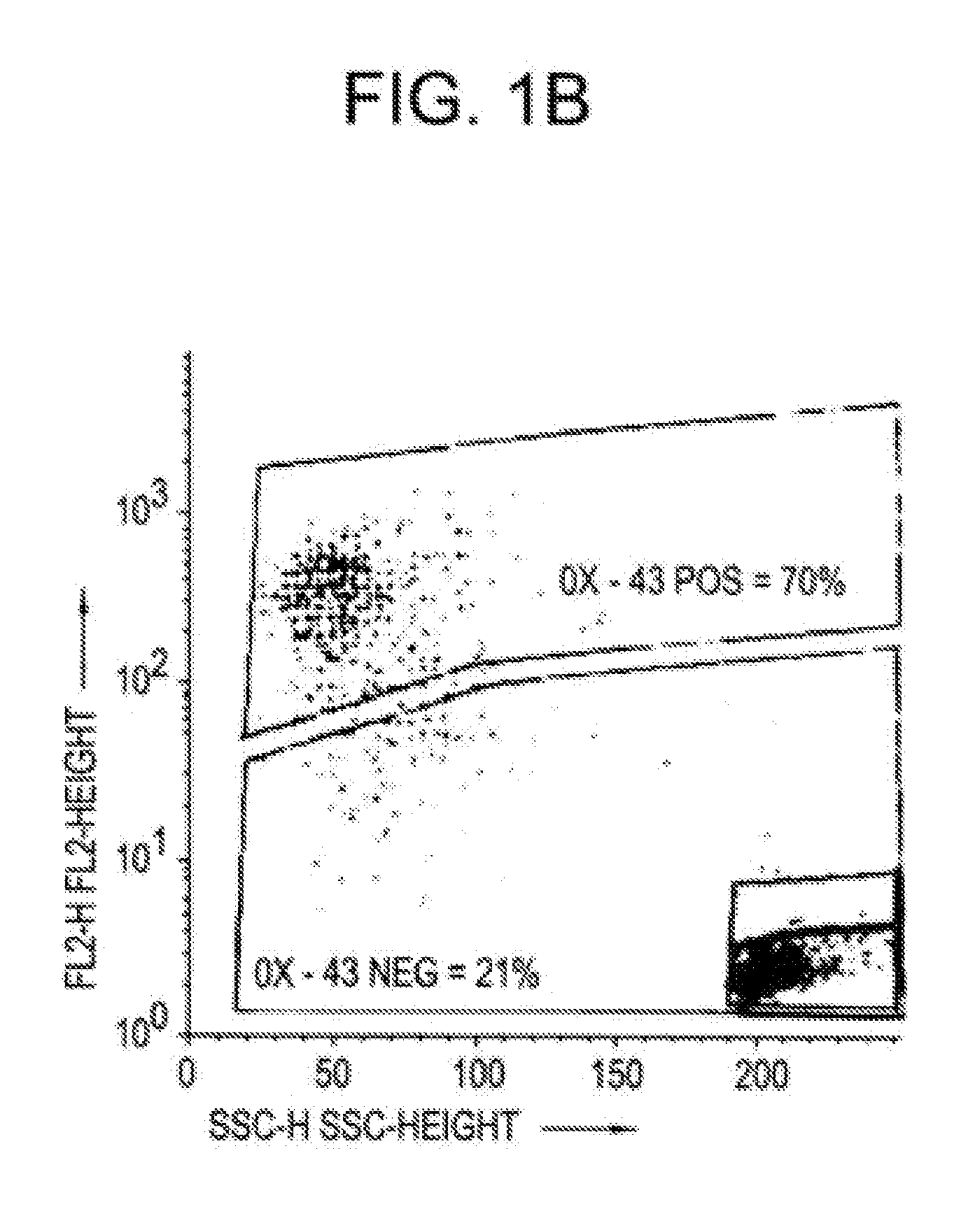 Hepatoblasts and method of isolating same