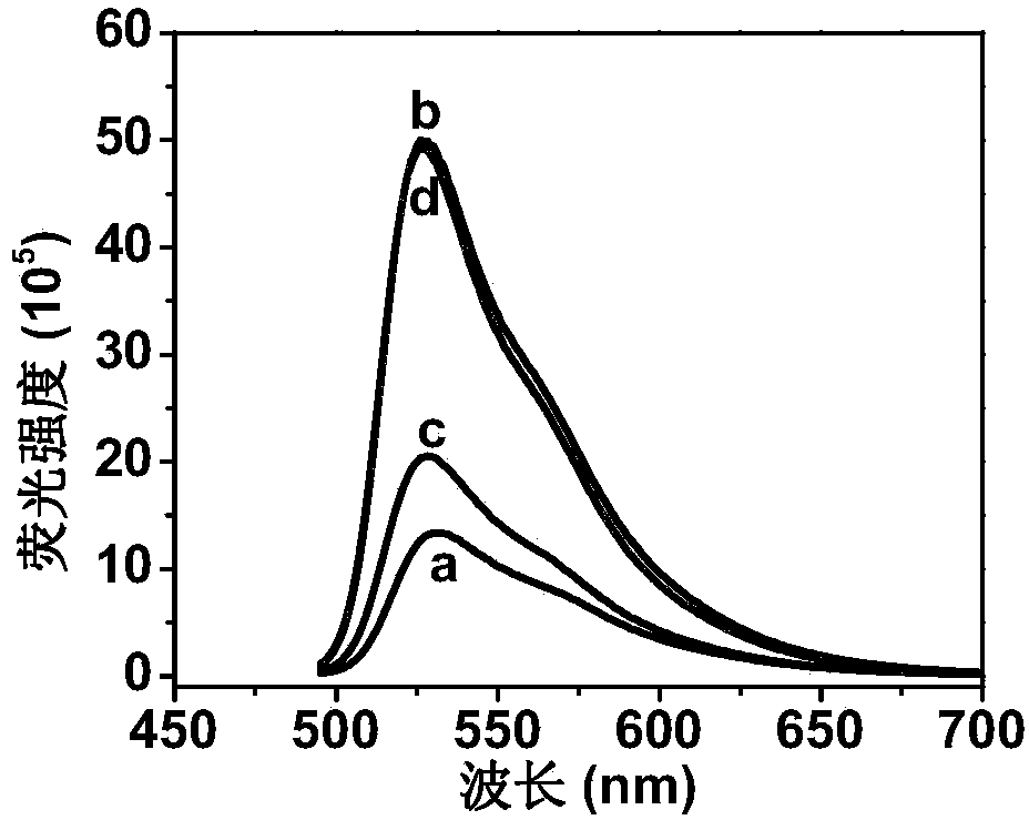 Method for detecting activity of DNA methylase and DNA methyltranseferase by unlabeled fluorescent detection based on restriction endonuclease and exonuclease III