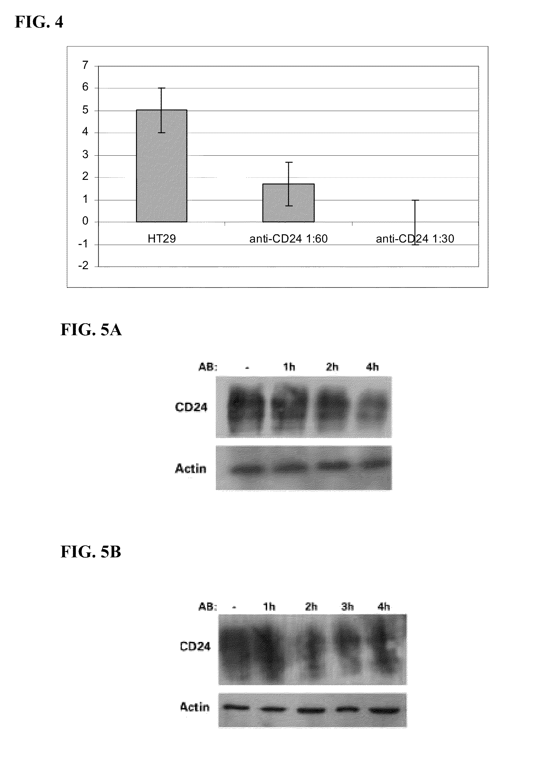 Methods of treating cancer using anti CD24 antibodies