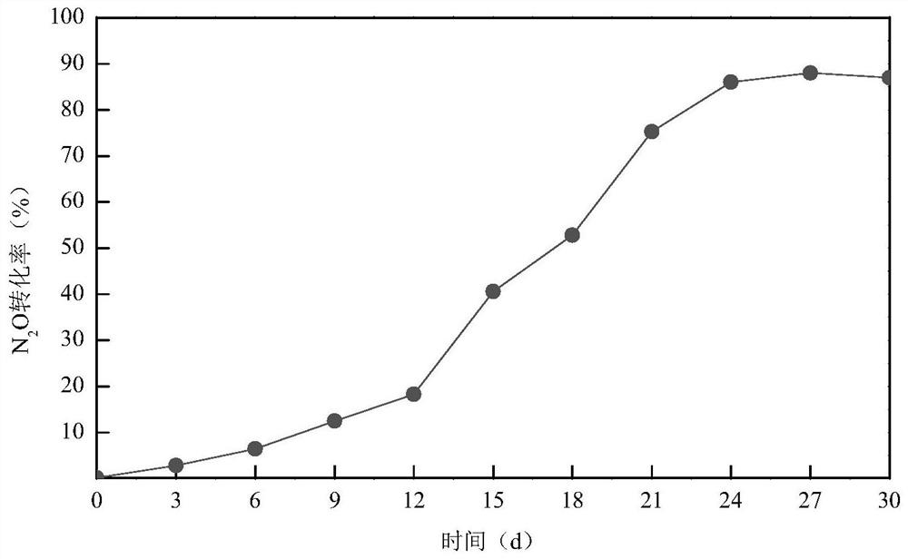 Device and method for converting ammonia nitrogen in domestic sewage into N2O