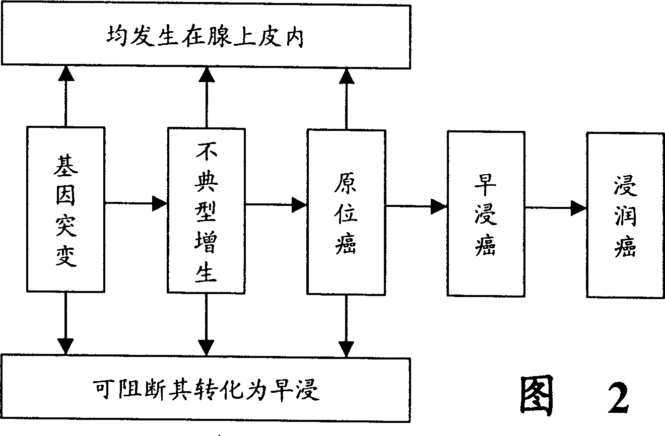 Device using endoscope to diagnose precancer affection