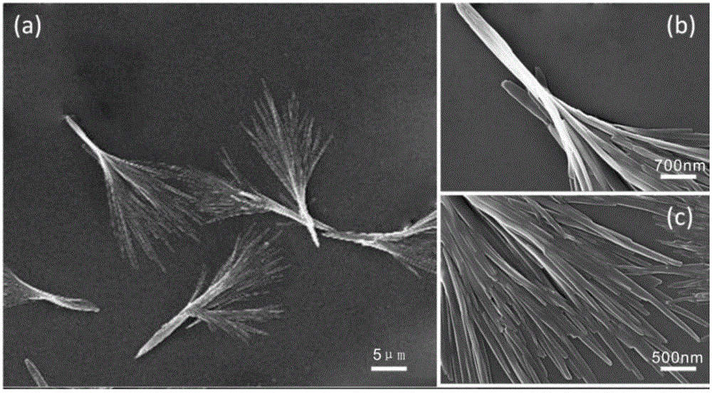 A broom-shaped hydroxycamptothecin-loaded sustained-release particle and its preparation method