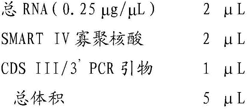 Zeranol decomposing enzyme and coding gene and application thereof