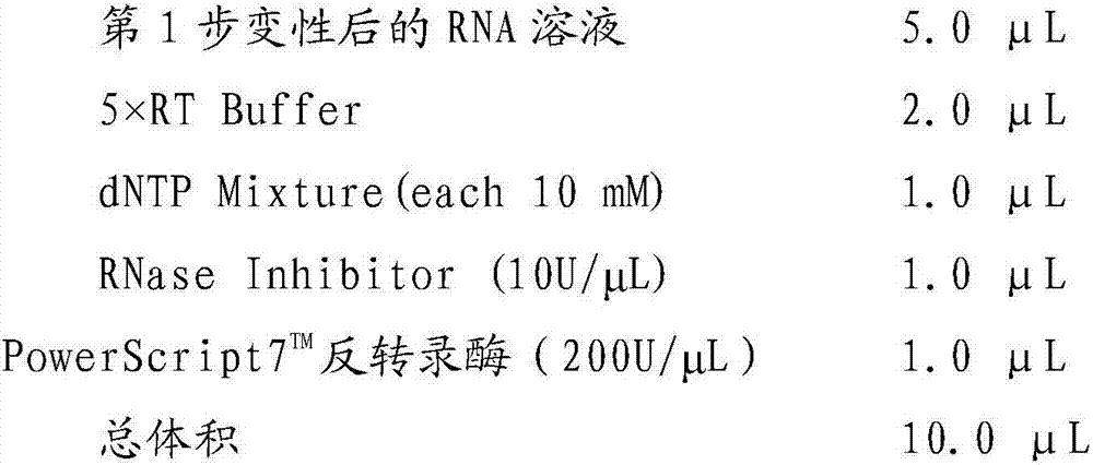 Zeranol decomposing enzyme and coding gene and application thereof