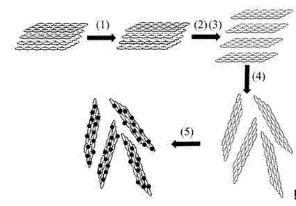 Preparation method for synthesizing graphene loaded noble metal catalyst in organic phase