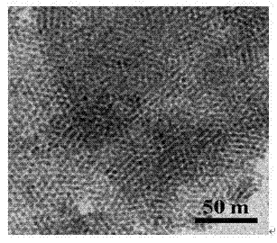 Preparation method for synthesizing graphene loaded noble metal catalyst in organic phase