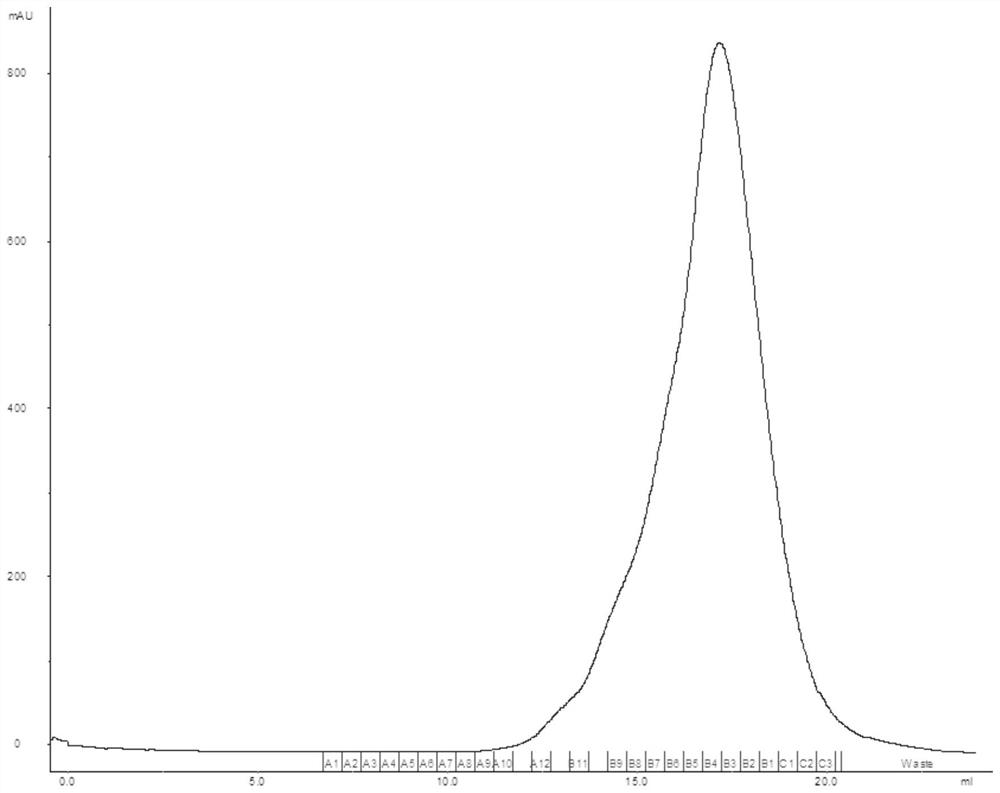 SARS-CoV-2 Spike protein receptor binding domain dimer and application thereof