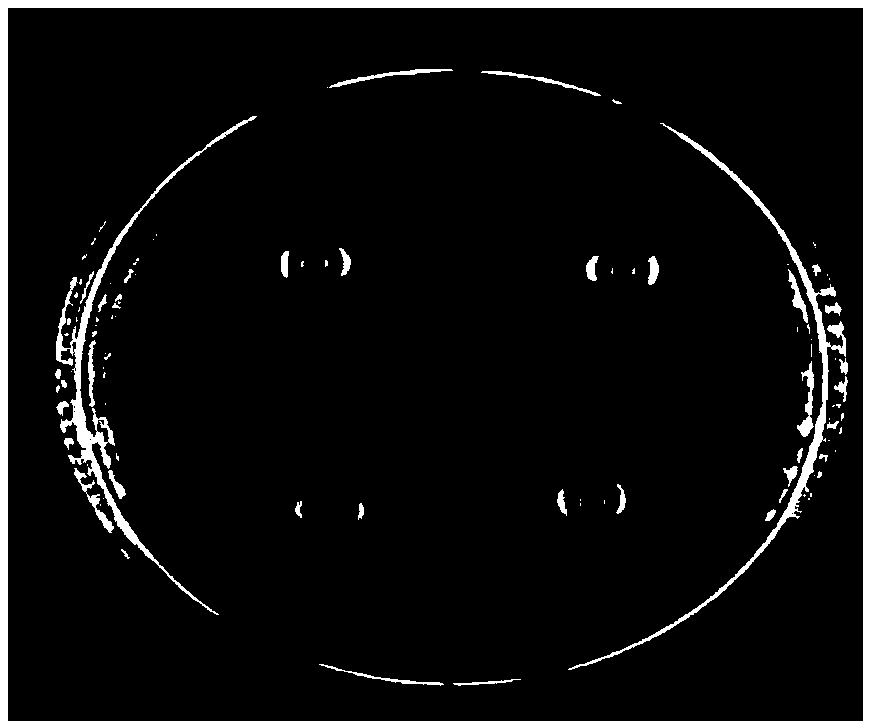 Bacillus subtilis and application thereof in fungicide and broiler feed